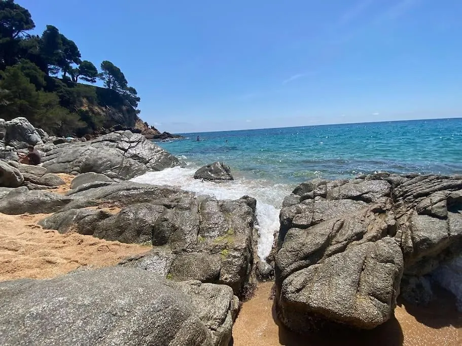 Lejlighed Apartamento Loft, Lloret De Mar