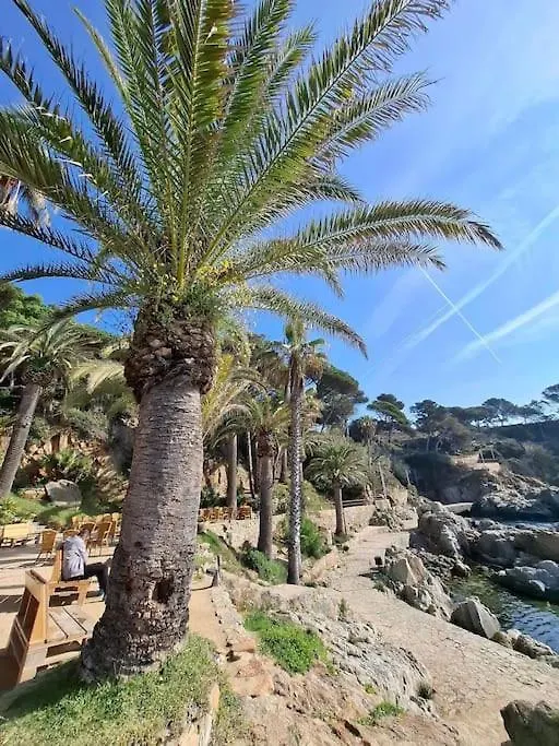 Apartamento Loft, Lloret De Mar
